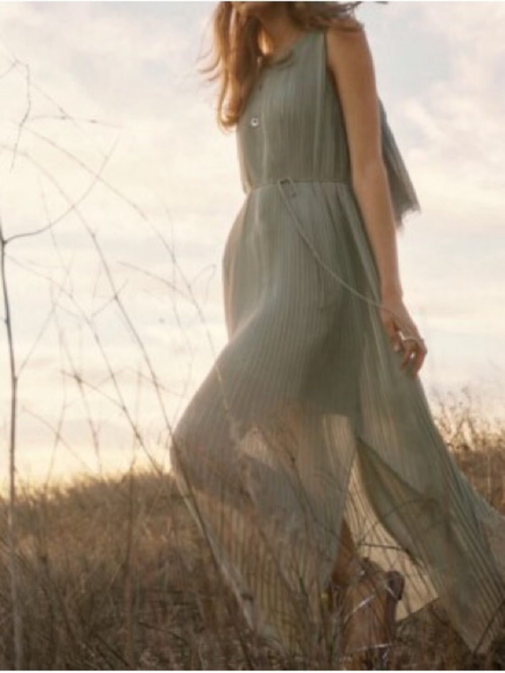 Sleeveless Sheer Pleated Maxi Dress in Sage Green